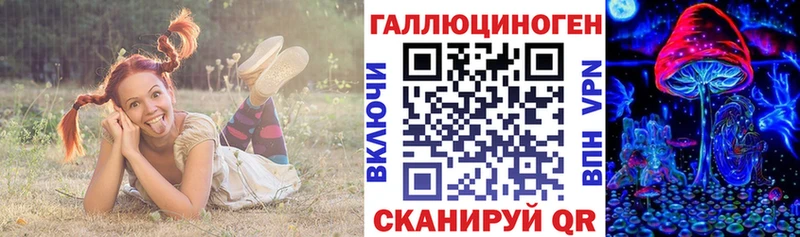 где найти   Вихоревка  Псилоцибиновые грибы GOLDEN TEACHER 